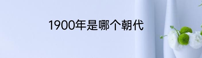 1900年是哪个朝代