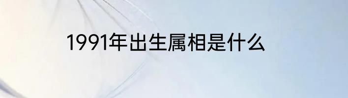 1991年出生属相是什么