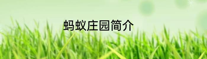 蚂蚁庄园简介