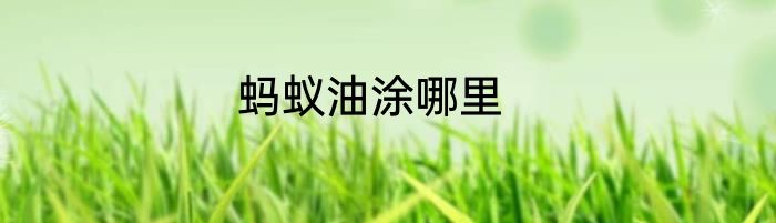 蚂蚁油涂哪里