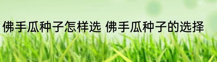 佛手瓜种子怎样选 佛手瓜种子的选择