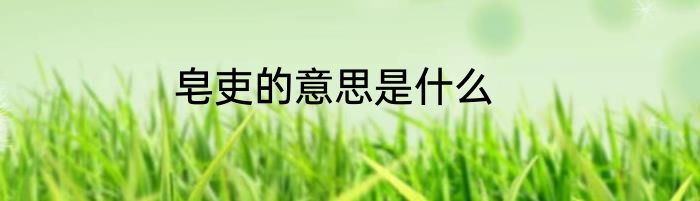皂吏的意思是什么