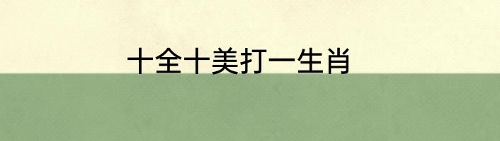 十全十美打一生肖