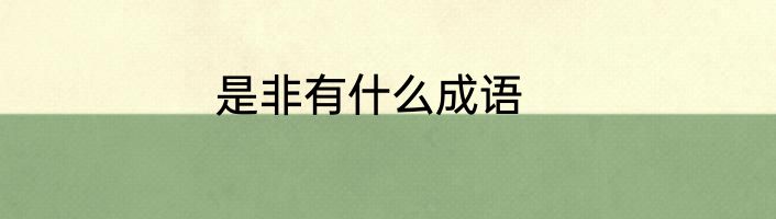 是非有什么成语