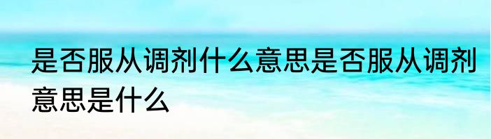 是否服从调剂什么意思是否服从调剂意思是什么