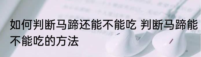 如何判断马蹄还能不能吃 判断马蹄能不能吃的方法
