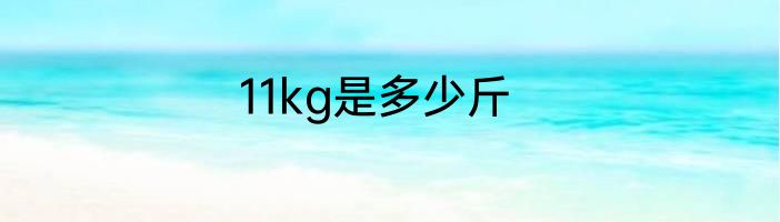 11kg是多少斤