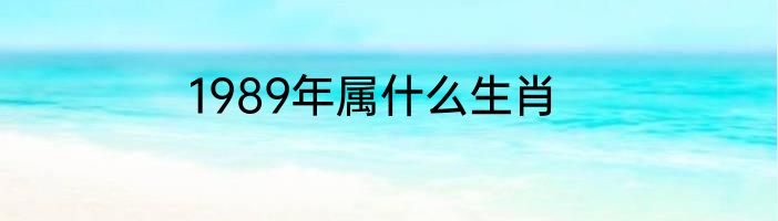 1989年属什么生肖
