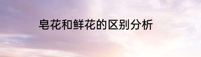 皂花和鲜花的区别分析