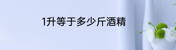 1升等于多少斤酒精