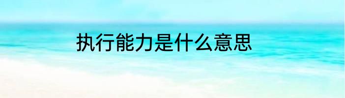 执行能力是什么意思