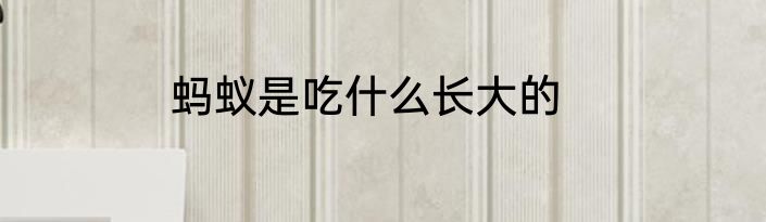 蚂蚁是吃什么长大的