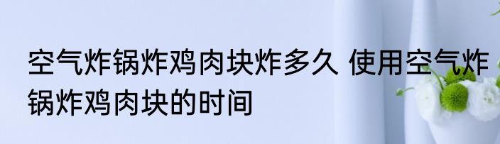 空气炸锅炸鸡肉块炸多久 使用空气炸锅炸鸡肉块的时间
