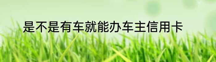 是不是有车就能办车主信用卡
