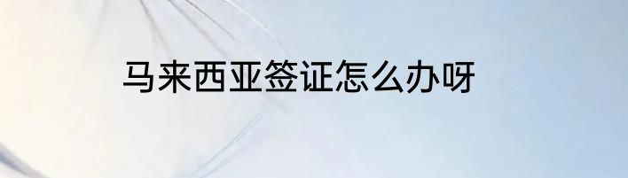 马来西亚签证怎么办呀