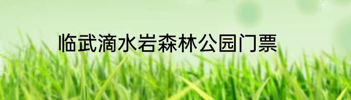 临武滴水岩森林公园门票