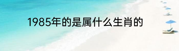 1985年的是属什么生肖的