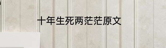 十年生死两茫茫原文