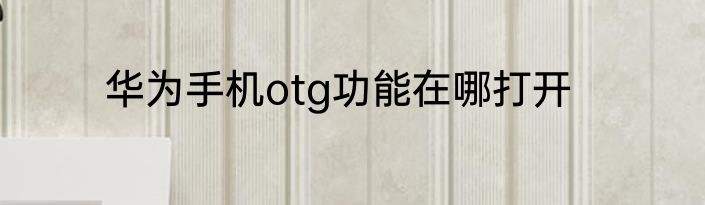 华为手机otg功能在哪打开