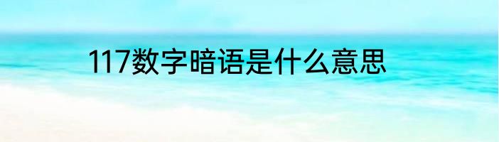 117数字暗语是什么意思
