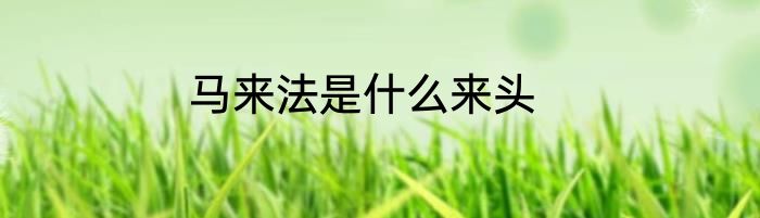 马来法是什么来头