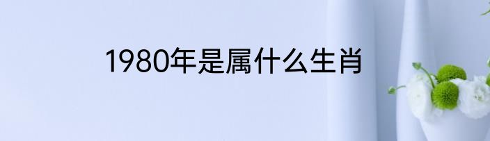 1980年是属什么生肖
