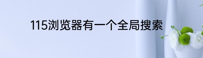 115浏览器有一个全局搜索