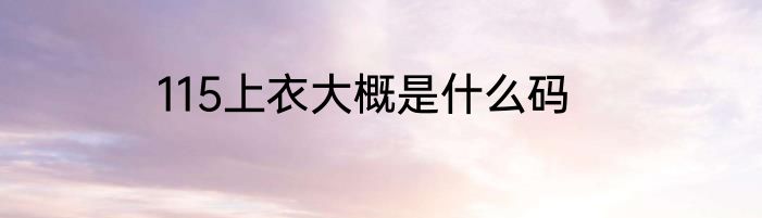 115上衣大概是什么码