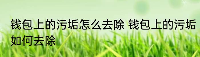 钱包上的污垢怎么去除 钱包上的污垢如何去除