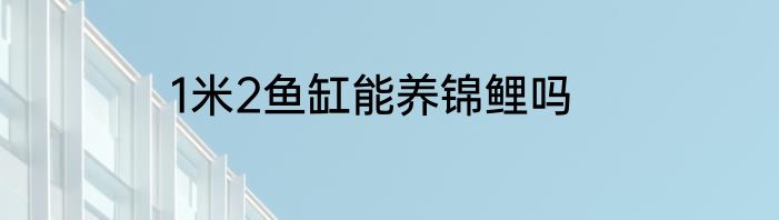 1米2鱼缸能养锦鲤吗