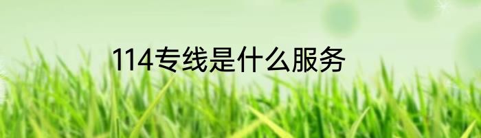 114专线是什么服务