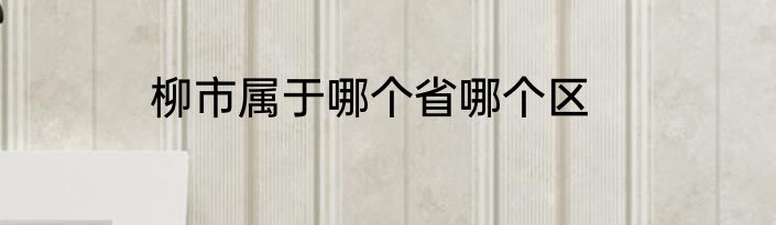 柳市属于哪个省哪个区
