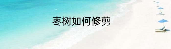 枣树如何修剪