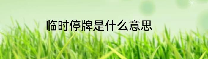 临时停牌是什么意思