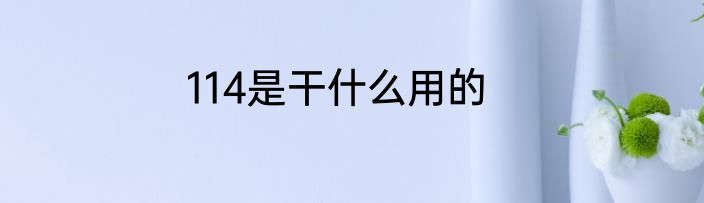 114是干什么用的