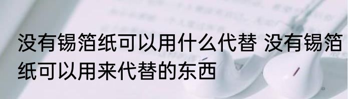 没有锡箔纸可以用什么代替 没有锡箔纸可以用来代替的东西