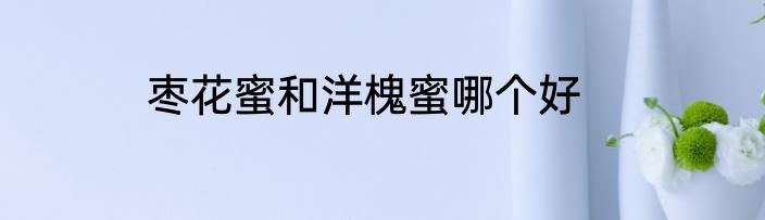 枣花蜜和洋槐蜜哪个好
