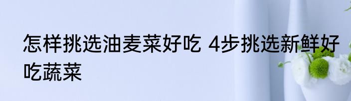 怎样挑选油麦菜好吃 4步挑选新鲜好吃蔬菜