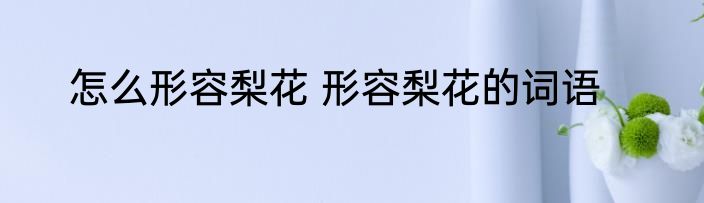 怎么形容梨花 形容梨花的词语
