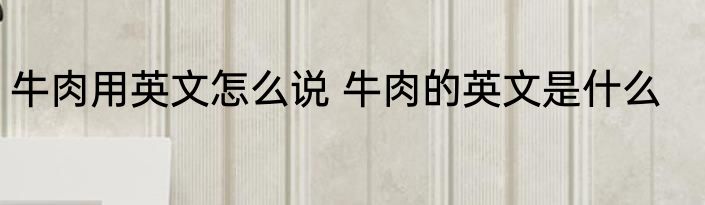 牛肉用英文怎么说 牛肉的英文是什么