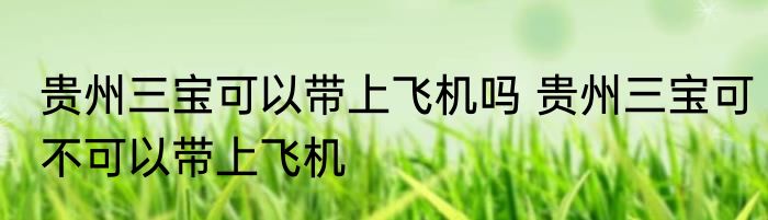 贵州三宝可以带上飞机吗 贵州三宝可不可以带上飞机
