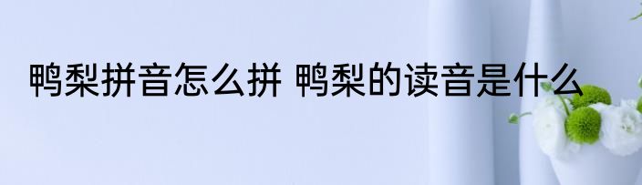 鸭梨拼音怎么拼 鸭梨的读音是什么