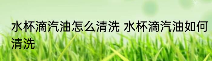 水杯滴汽油怎么清洗 水杯滴汽油如何清洗