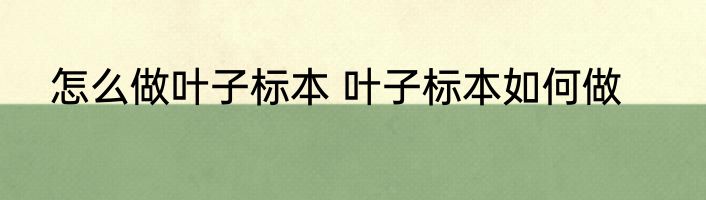 怎么做叶子标本 叶子标本如何做