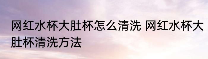 网红水杯大肚杯怎么清洗 网红水杯大肚杯清洗方法