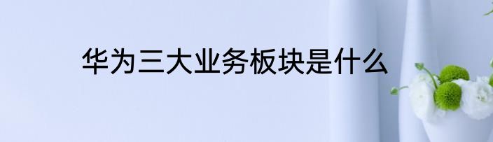 华为三大业务板块是什么