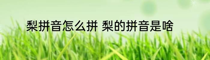 梨拼音怎么拼 梨的拼音是啥