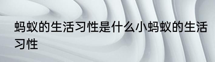 蚂蚁的生活习性是什么小蚂蚁的生活习性