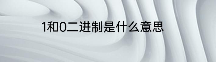 1和0二进制是什么意思