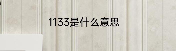 1133是什么意思